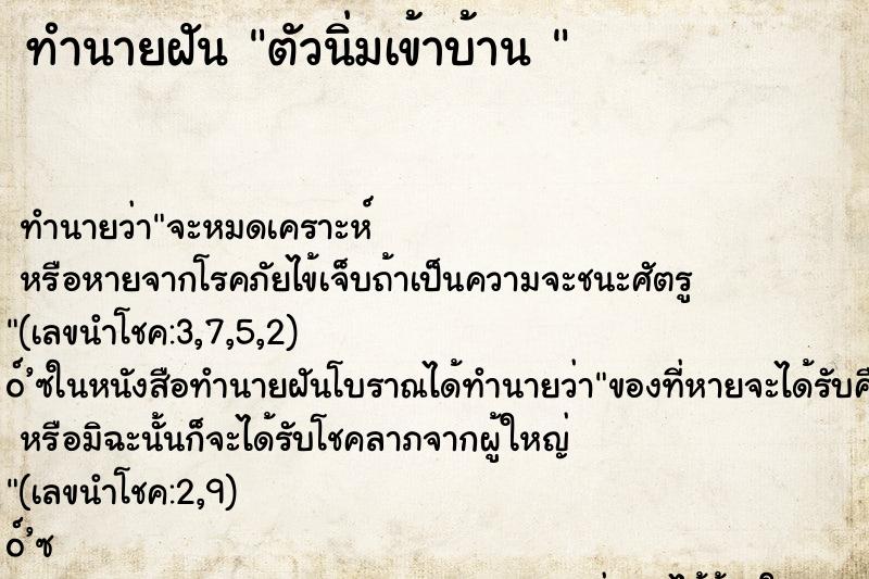 ทำนายฝัน ตัวนิ่มเข้าบ้าน 